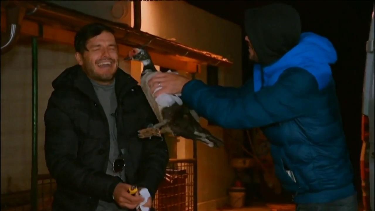 Răzbunarea g&acirc;ștelor, mai crudă ca oricare alta. &Icirc;n rest, creier de &icirc;naripată! &rdquo;A făcut pe m&acirc;na ta!&rdquo;