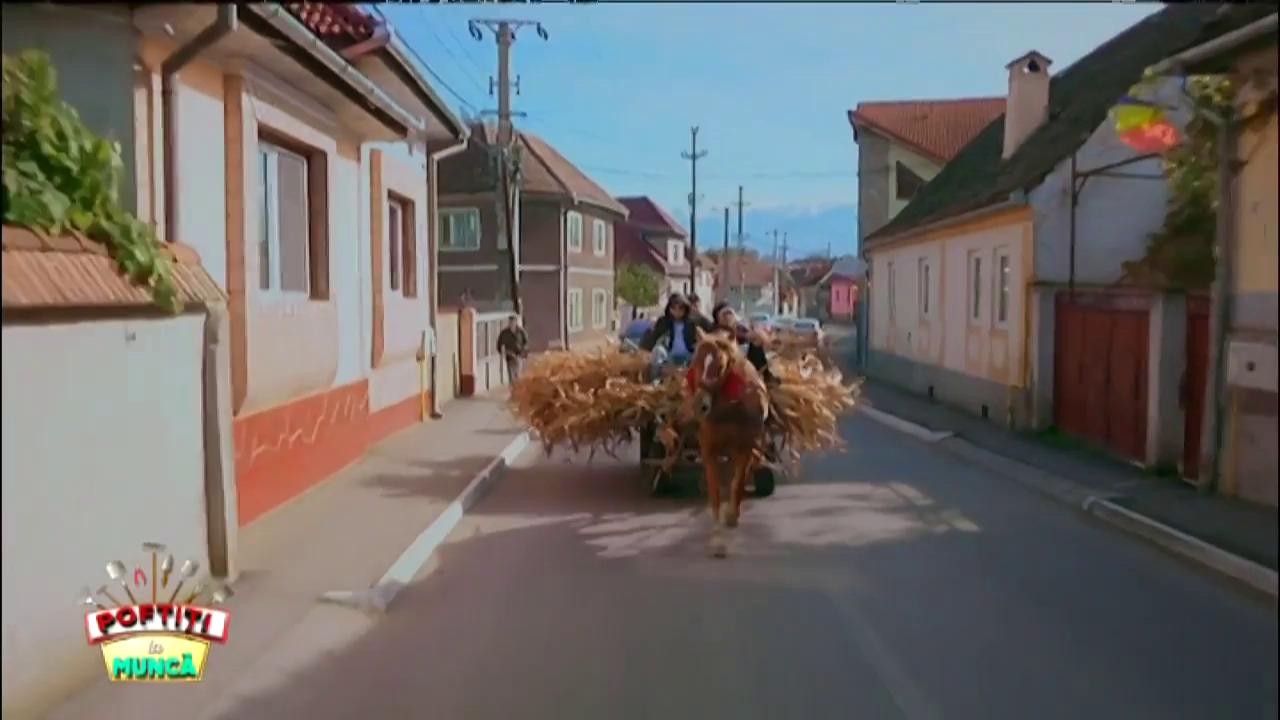 Prima probă, c&acirc;știgată de fete. Pierzătorii au ajuns &icirc;n căruță!