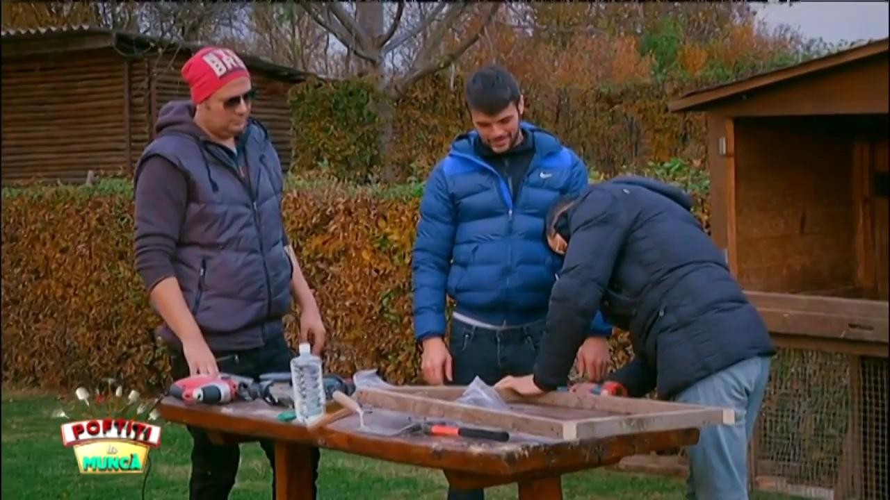 Vedetele lui Nea Mărin, treburi gospodărești