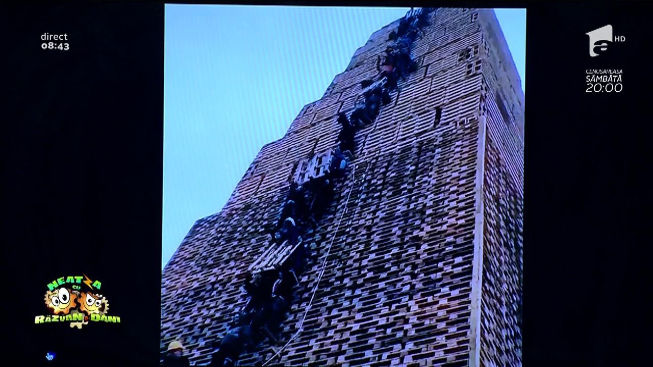 Smiley News: Piramida din paleți de lemn construită pentru șeful megaloman