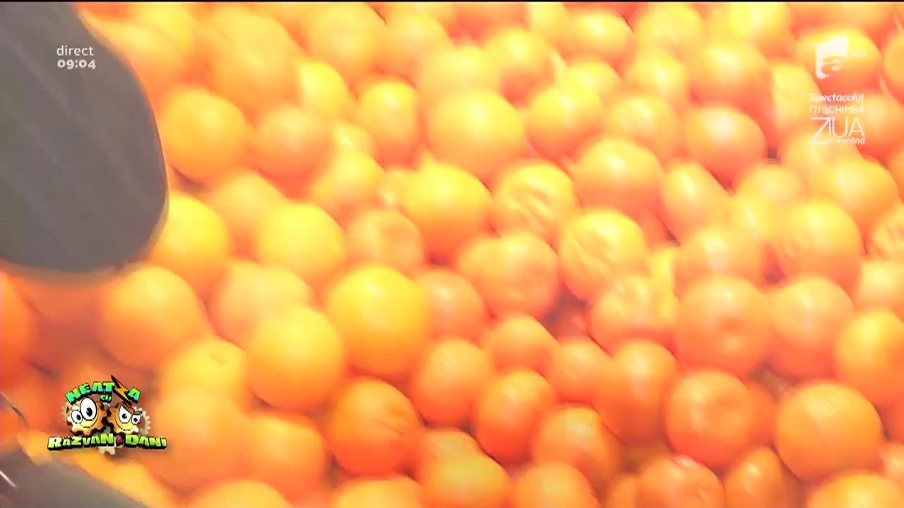 Putem să m&acirc;nc&acirc;m o zi &icirc;ntreagă numai cu zece lei?