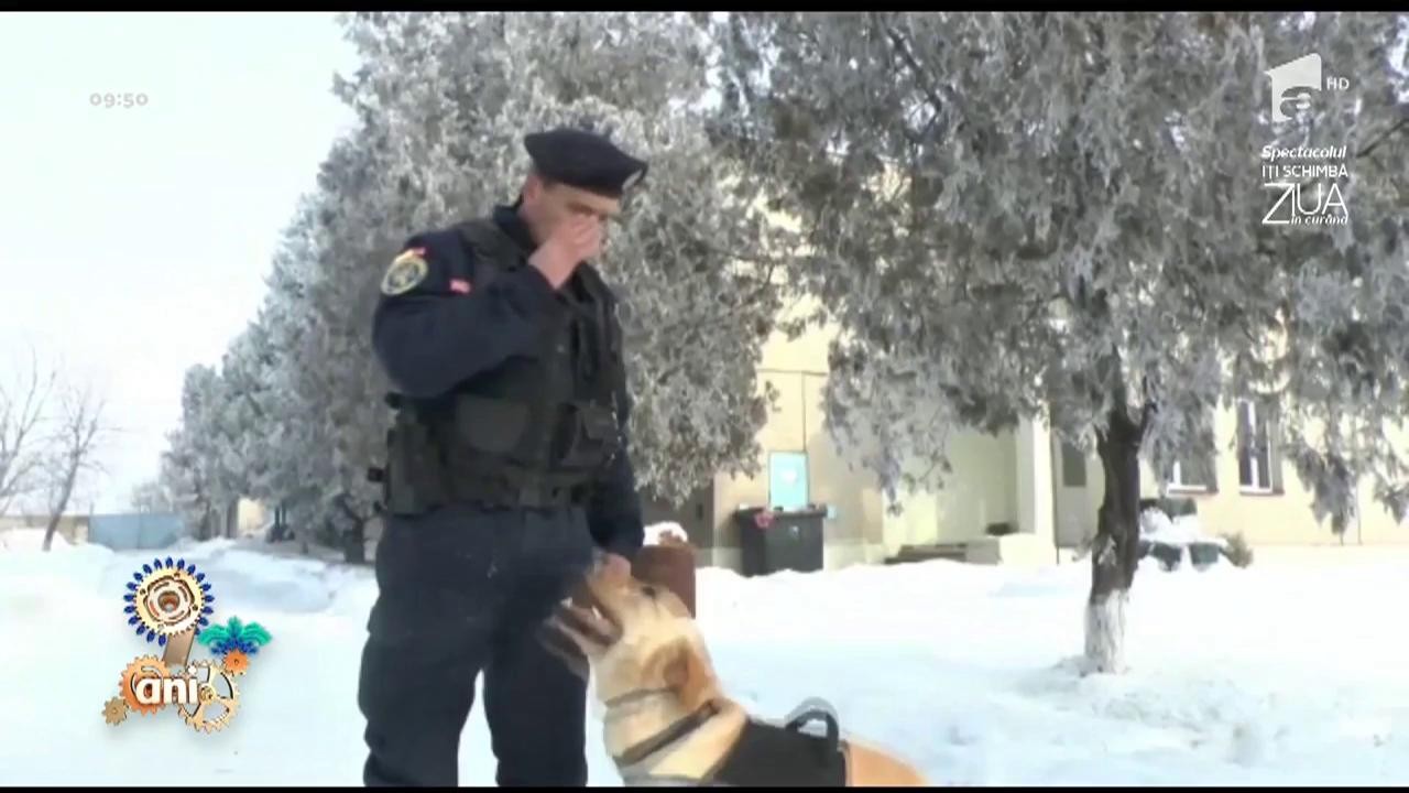 La mulţi ani, Neatza! Jandarmeria Rom&acirc;nă, mesaj pentru Răzvan şi Dani