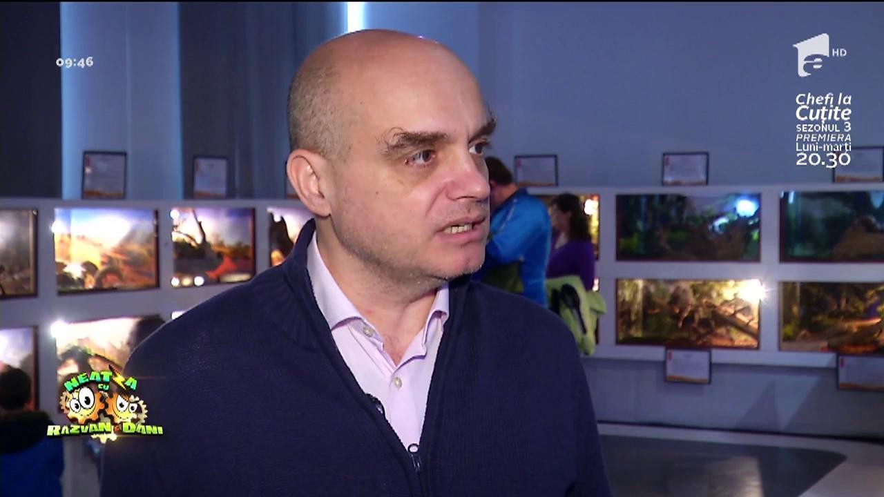 Muzeul Naţional de Istorie Naturală "Grigore Antipa" vă invită la expoziţia: Venin - frumuseţi de neatins