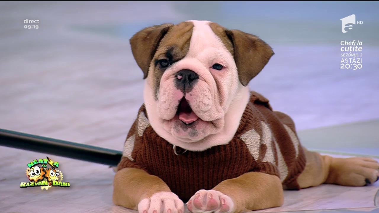 Cristina Strecopitov - trucul cu sfoara magică