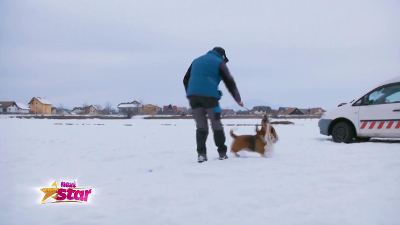 Prezentare: Ioana Petrescu - 9 ani, Braşov