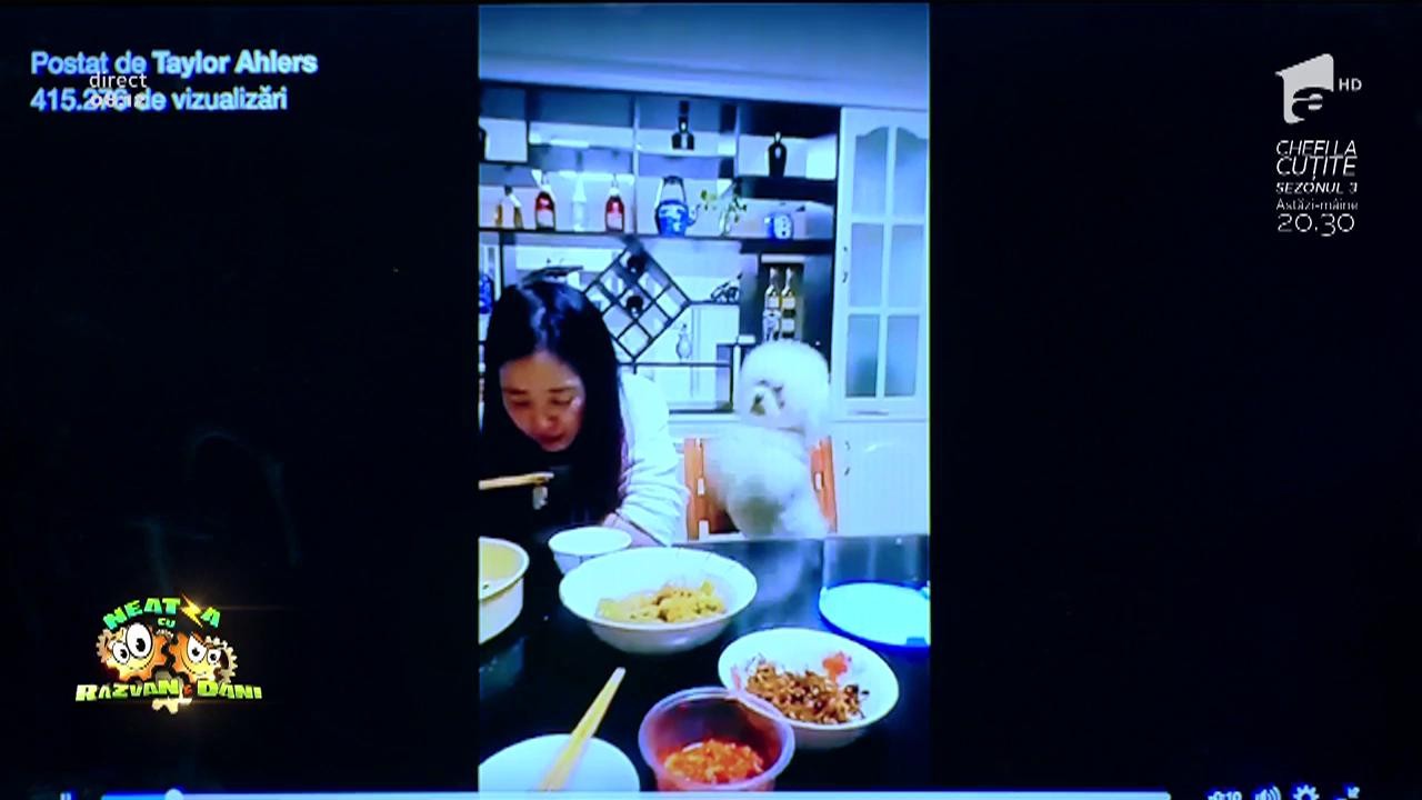 Smiley News: Un c&acirc;ine cerșetor mult prea insistent