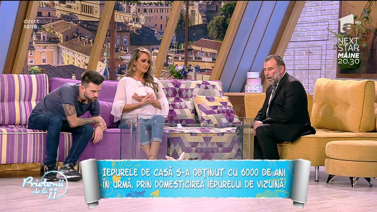 Iepurele, ca animal de casă. Ce trebuie să ştii?