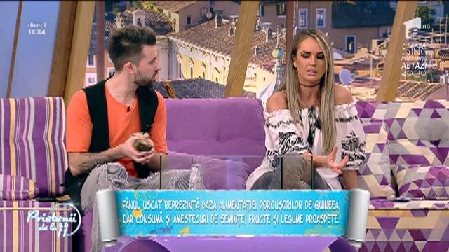 Tot ce trebuie să știi despre porcușorii de Guineea