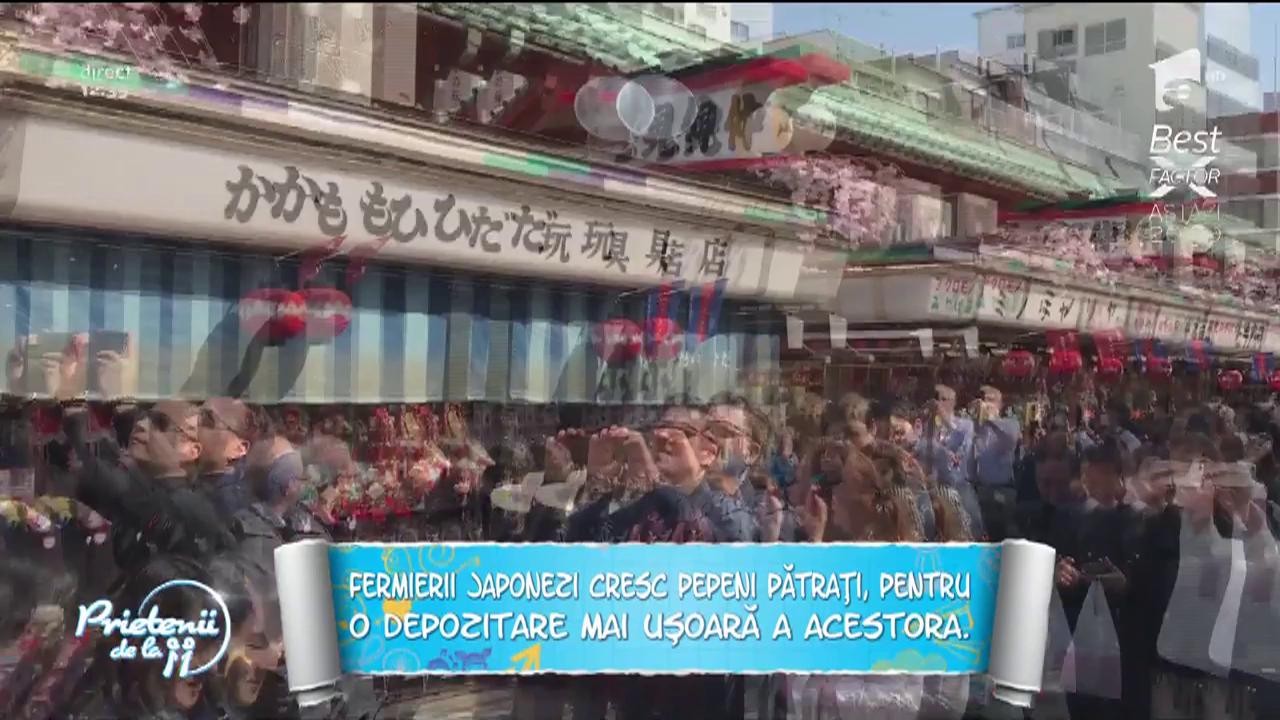 Japonia, destinație pentru vacanța de 1 Mai