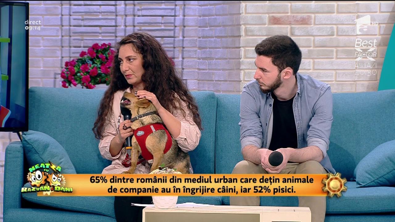 Campania &rdquo;Prieten neprețuit&rdquo;. Hai să adoptăm și nu să cumpărăm un animal de companie!