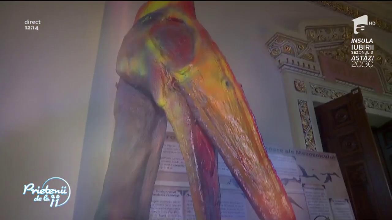 Mii de oameni au luat parte la Noaptea muzeelor