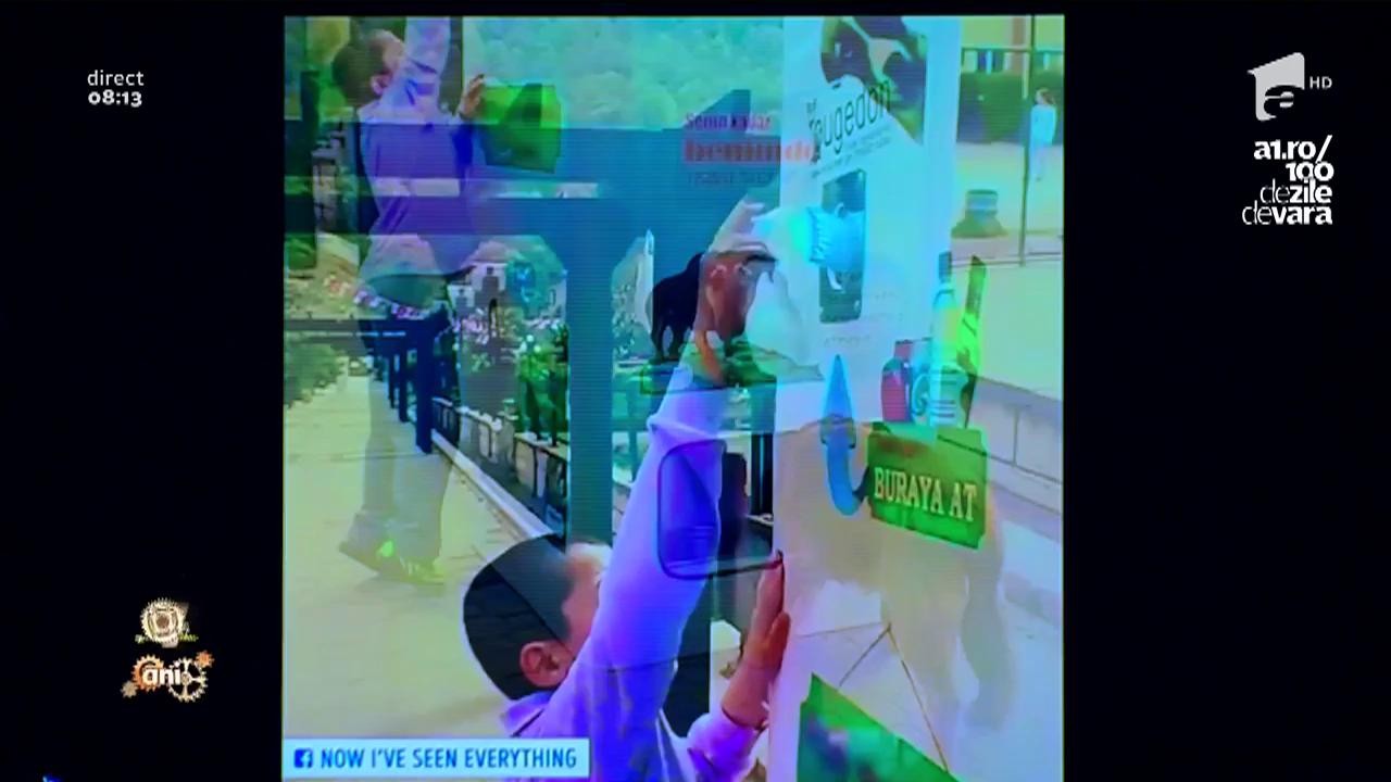Smiley news: M&acirc;ncare pentru c&acirc;inii maidanezi &icirc;n schimbul PET-urilor