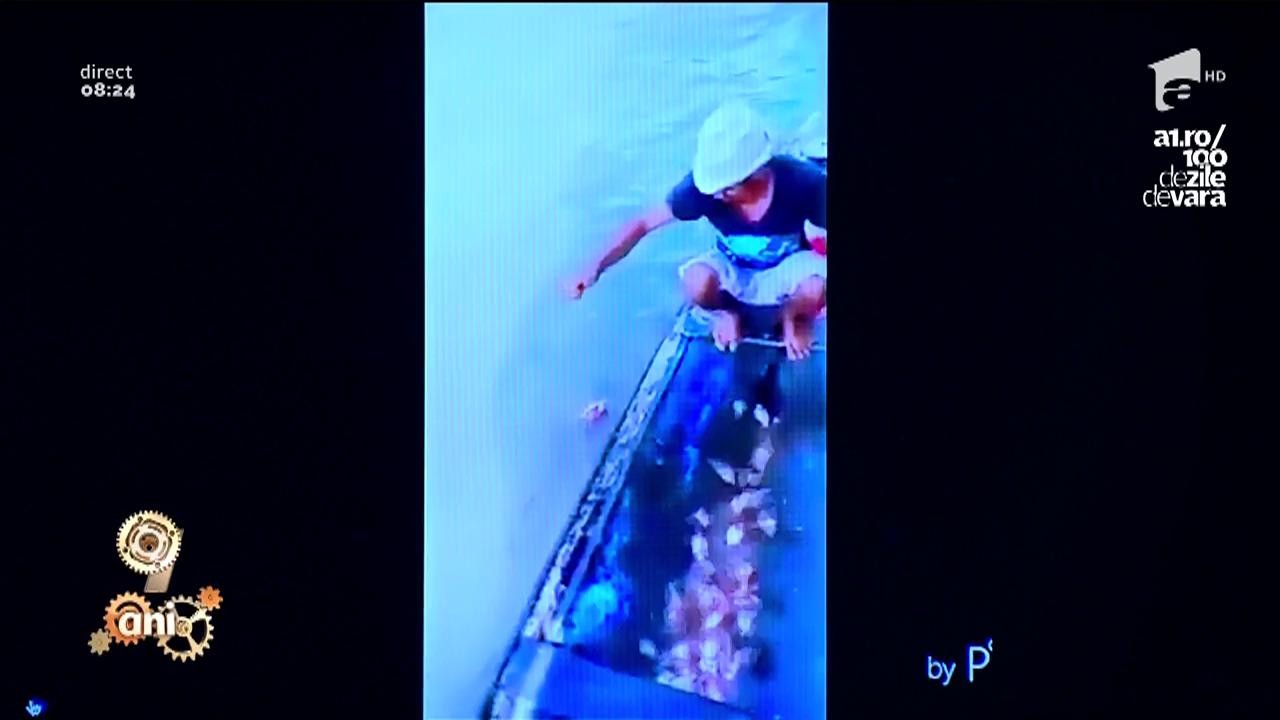 La pescuit de piranha, în Brazilia: "Ce faci, mami? Am adus de o ciorbiță"