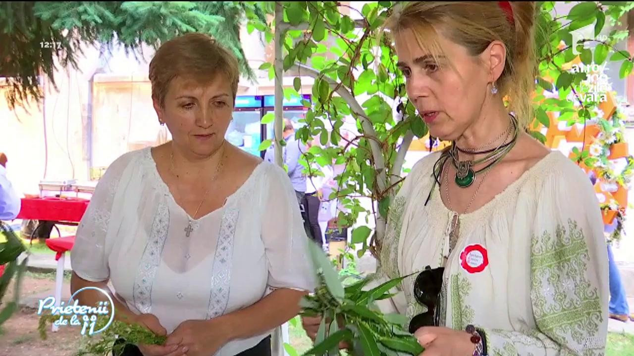 Ia, biletul de intrare la evenimentul din noaptea S&acirc;nzienelor organizat de Institutul Cultural Rom&acirc;n