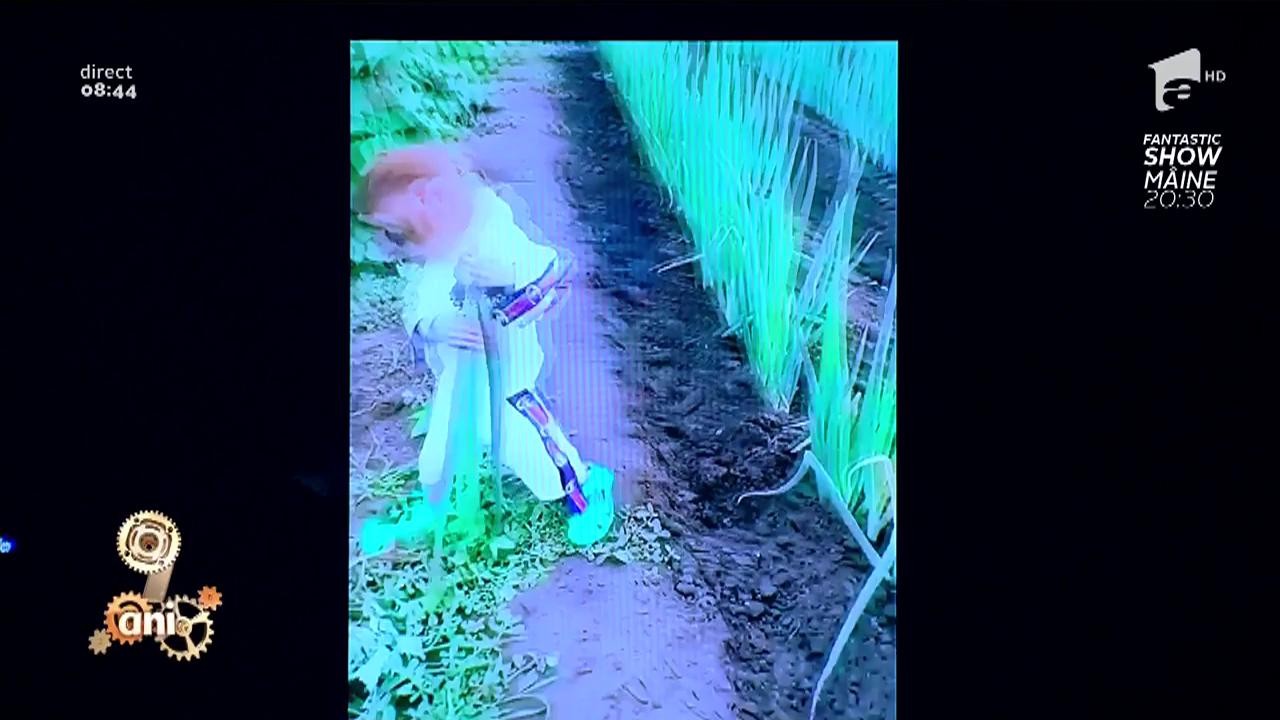 Smiley News. Maimuța de grădină, fan praz!