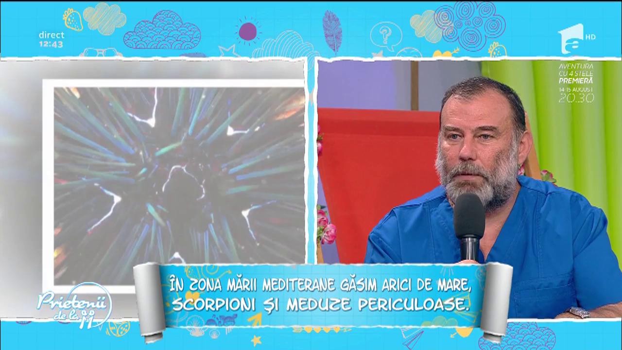 Pericolele din vacanță, &icirc;n funcție de zonele lumii