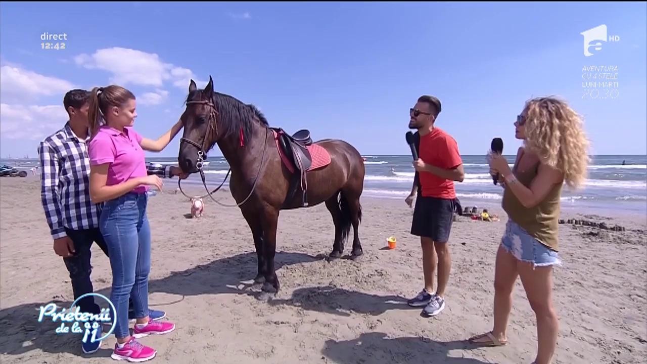 Florin Ristei s-a urcat prima dată pe un cal!