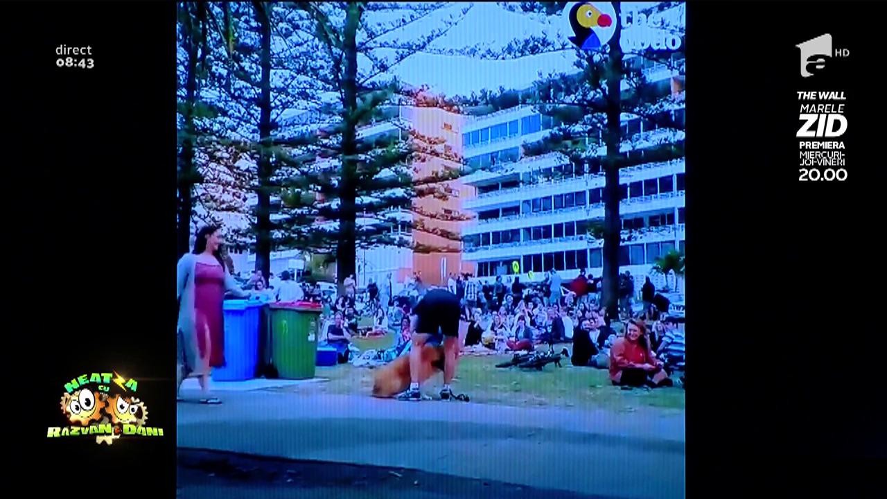 Smiley News. R&acirc;zi cu lacrimi! Cum face un Golden Retriever c&acirc;nd nu vrea să plece din parc