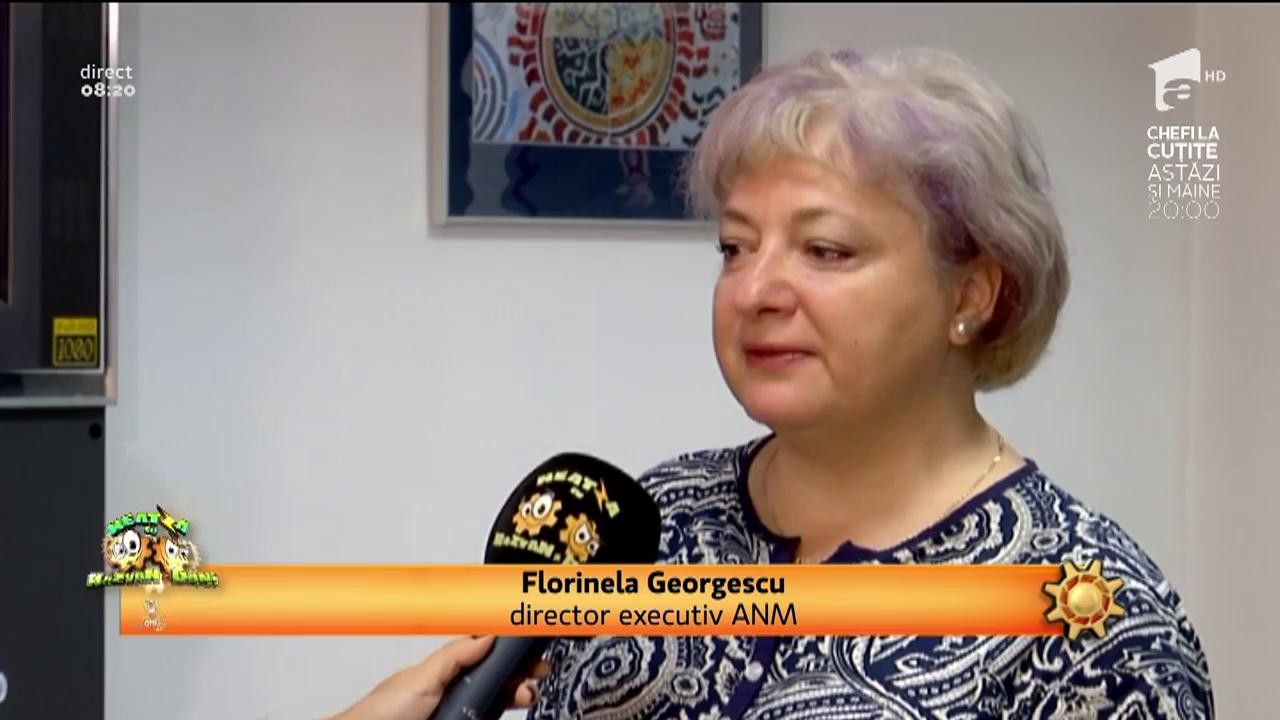 Vijelia din weekend a făcut prăpăd &icirc;n vestul țării, &icirc;n mai puțin de 15 minute