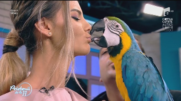 A căzut pe jos! Diana Munteanu, sărutată de un papagal uriaș!