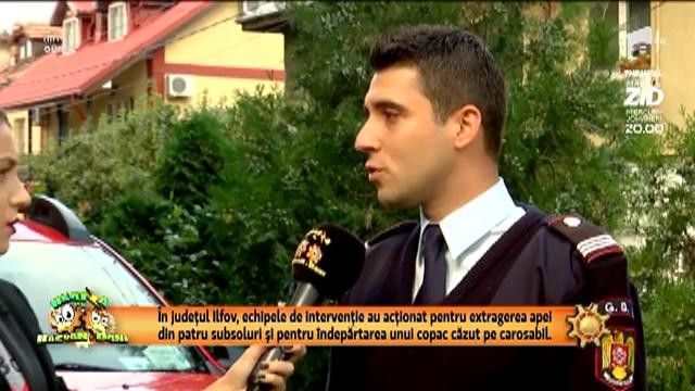 Furtuna a luat o viaţă &icirc;n Bucureşti şi a distrus mai multe autoturisme