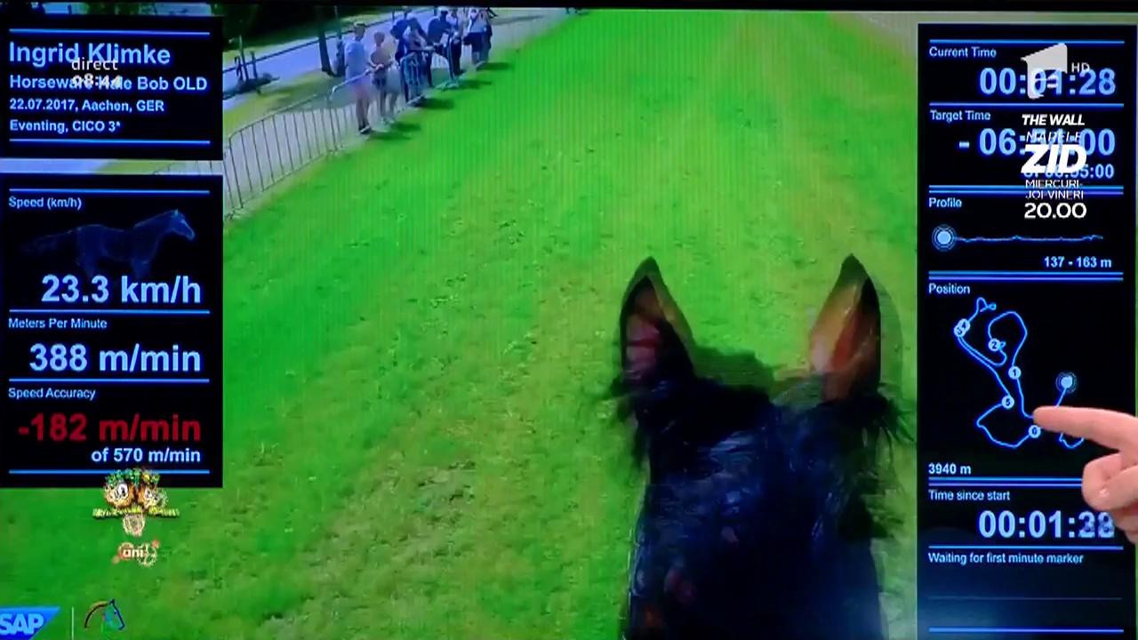 Smiley News! Cum arată acum cursele de cai