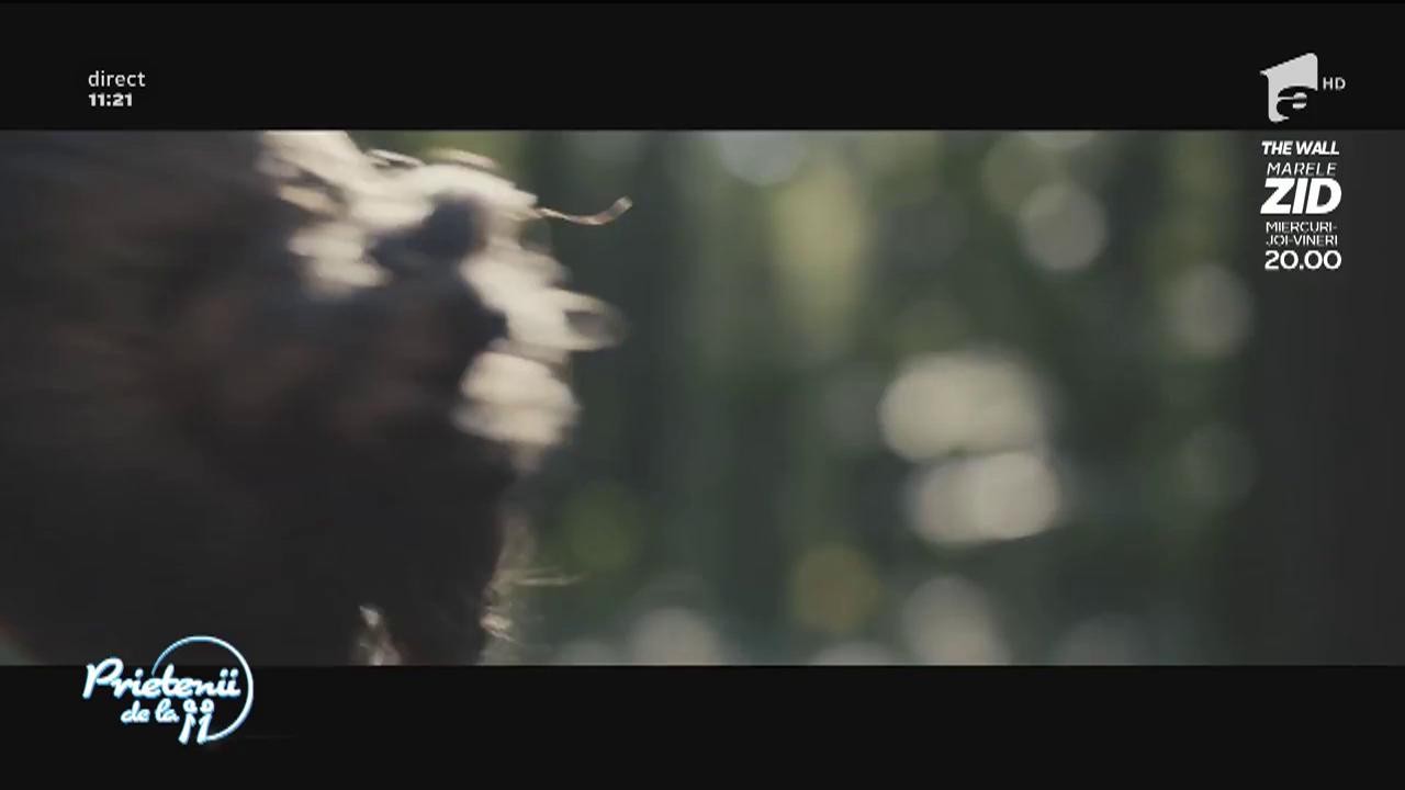 Bibi - "Dansez cu inima ta"