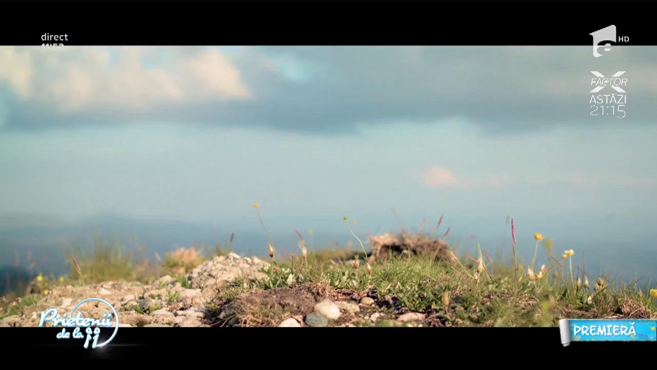 Videoclip &icirc;n premieră la Prietenii de la 11! Freestay feat. Andra - "&Icirc;ntre noi nu e nimic"