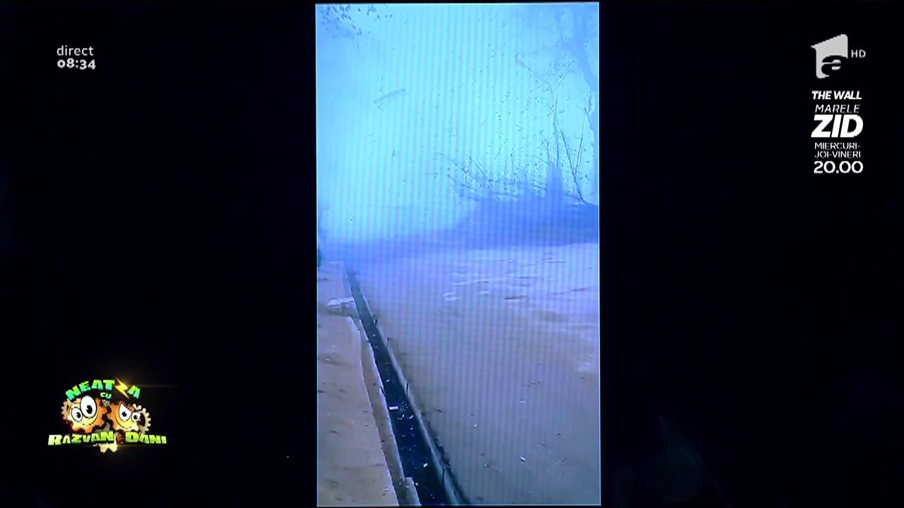 Smiley News. Biciclistul și copacul sau diferența &icirc;ntre a fi deștept și a face pe deșteptul!