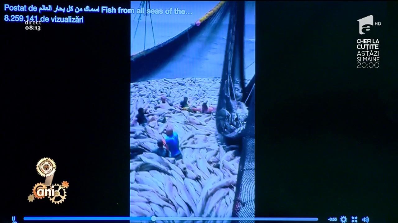 Smiley News. Pescari prinși &icirc;n propria plasă!