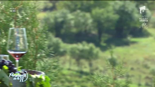 Cum se bea vinul. Sfaturile specialistului