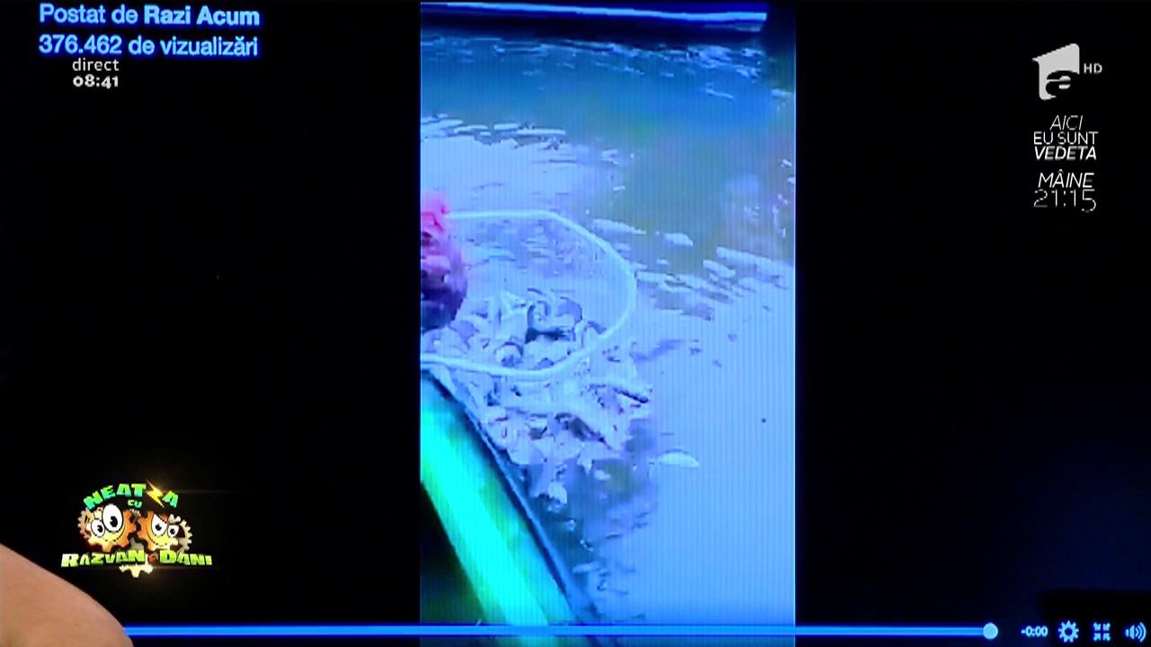 Smiley News. Dedicație pentru pescari. A scos un sac plin cu pește &icirc;n mai puțin de zece secunde!