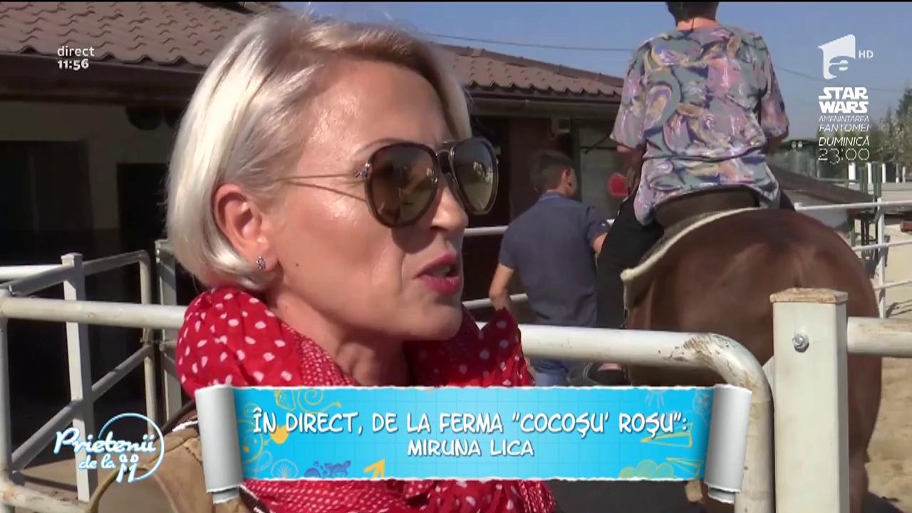 Ferma, locul &icirc;n care copiii &icirc;și pot vedea animalele preferate