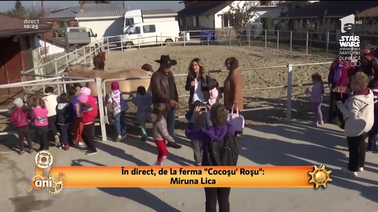O zi la fermă, distracția copiilor: "Vrem să vedem poneii"