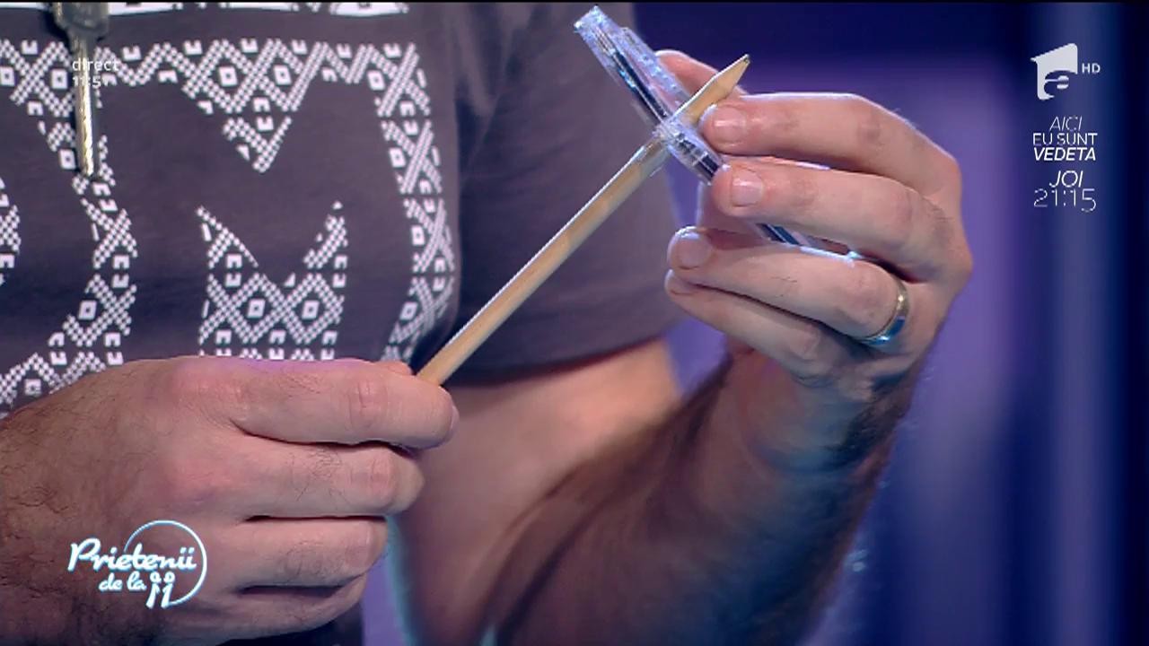 Ţapinarii - "Copilărie"