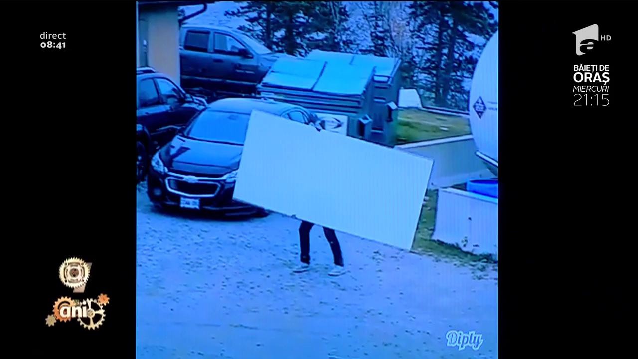 Smiley News! Cum să cari o placă atunci c&acirc;nd v&acirc;ntul e &icirc;mpotriva ta