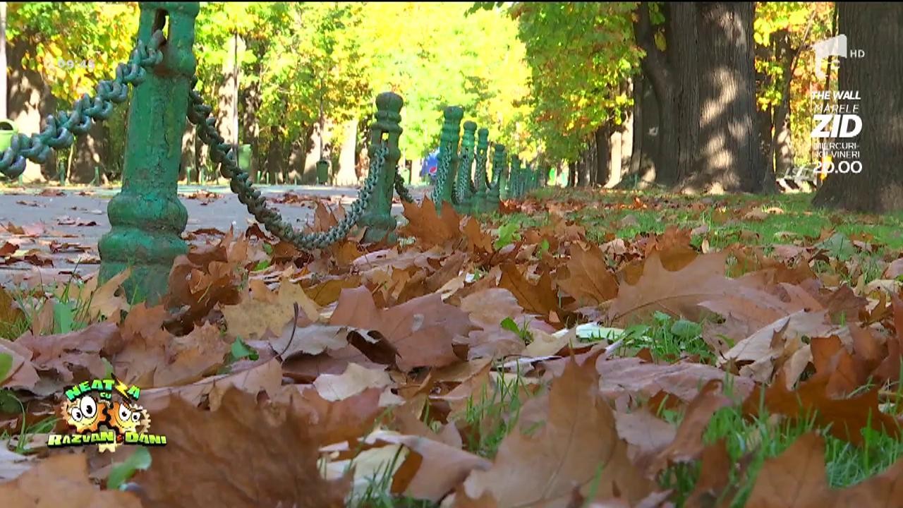 Astenia de toamna. Cum se tratează și de ce apare