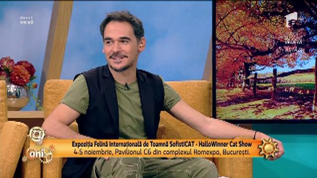 Expoziția Felină Internațională de Toamnă SofistiCAT, la finalul acestei săptăm&acirc;ni, &icirc;n complexul Romexpo
