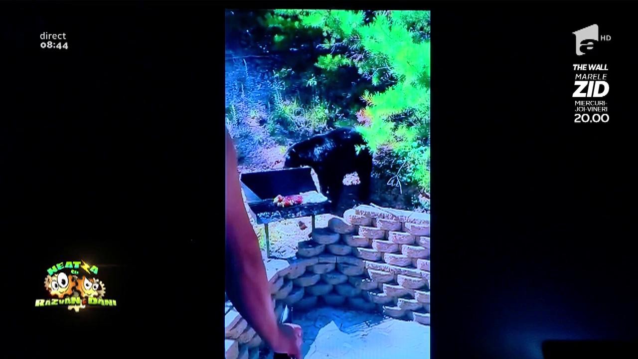 Smiley News: Grataragii lăsați flăm&acirc;nzi de urs! A m&acirc;ncat tot, și carne și legume