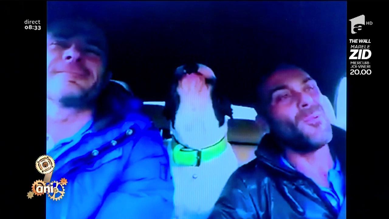 Smiley News! Un bulldog simpatic c&acirc;ntă melodia "You raise me up"