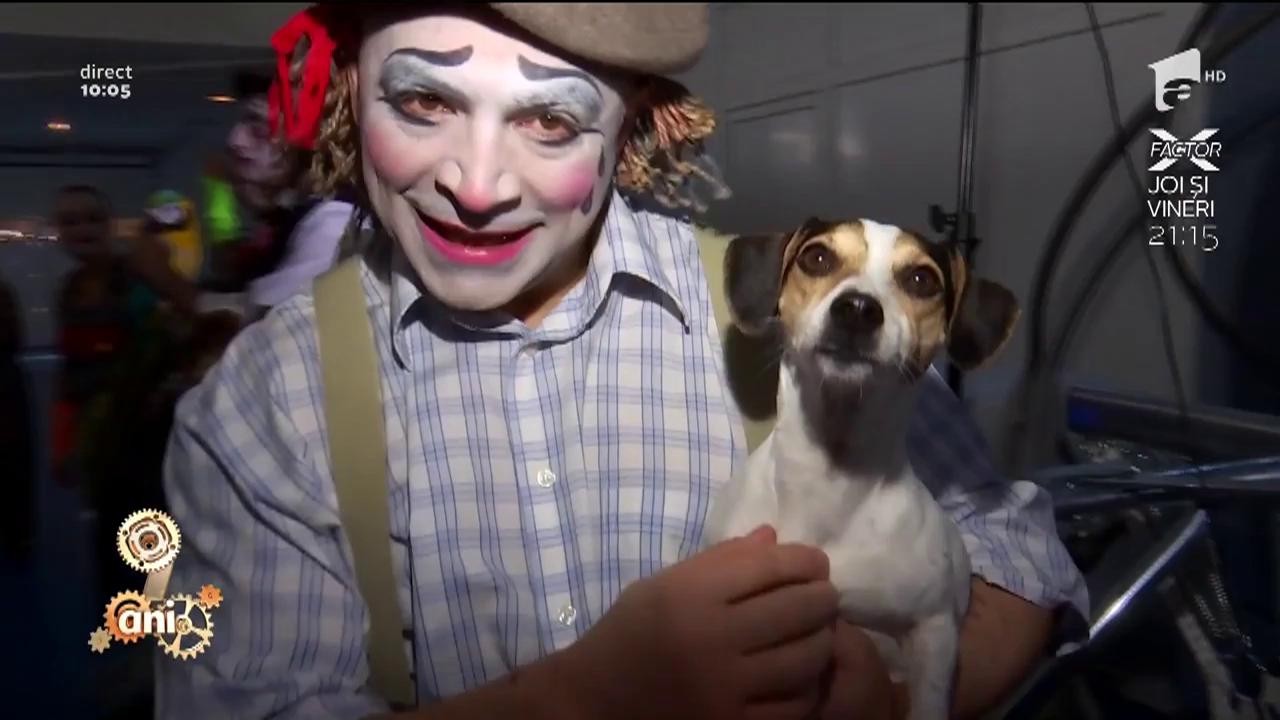 Mai vedem animale la circ? Marian Duță, &icirc;n direct, la Circ & Variete Globus