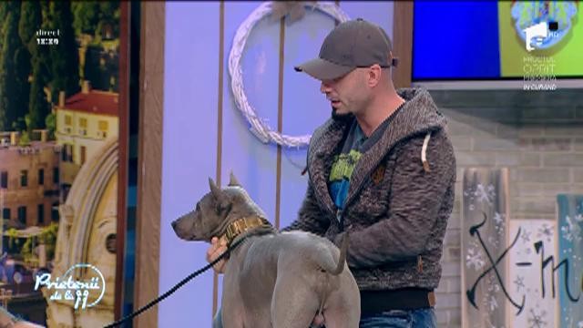 Dresaj canin. Abordarea c&acirc;inilor dificili