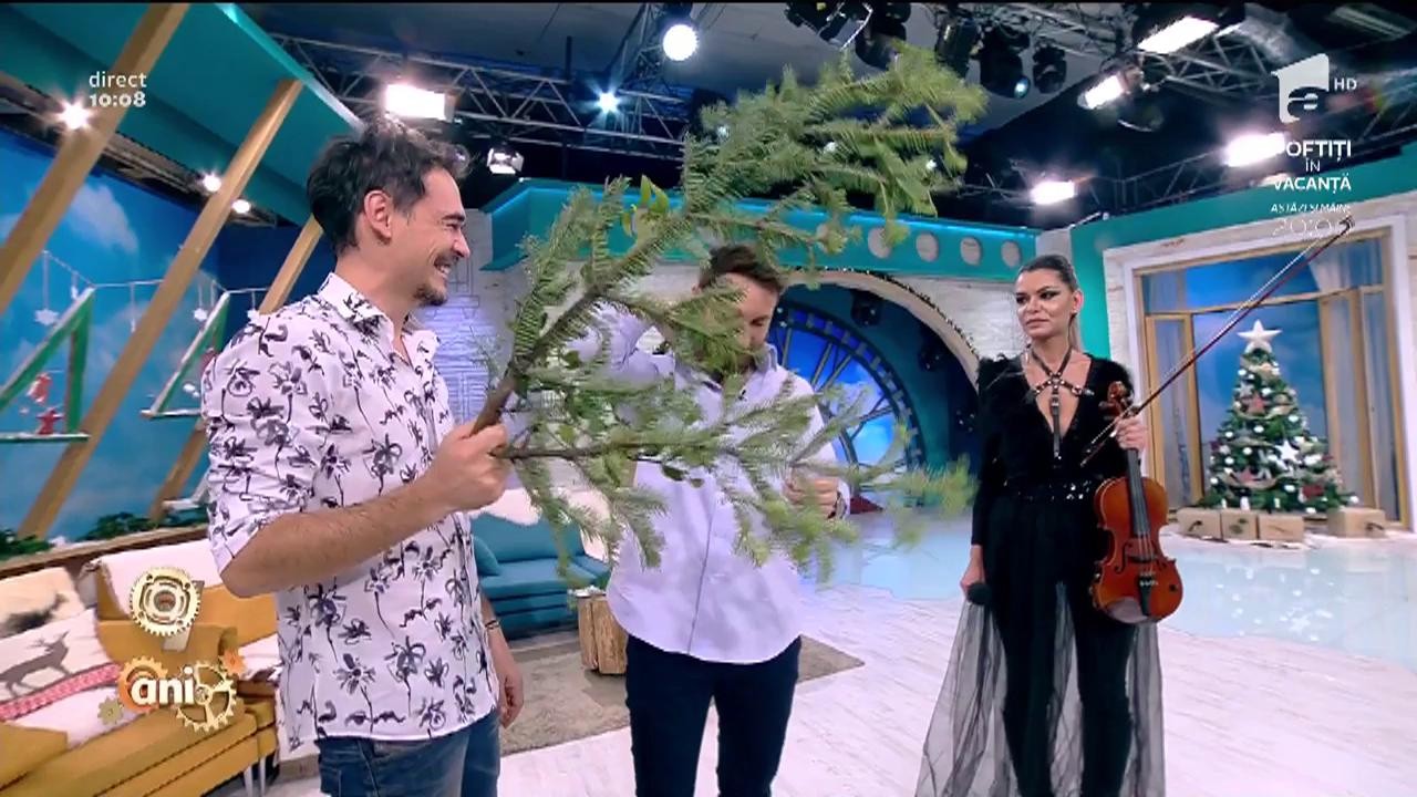 R&acirc;zi cu lacrimi! Dani Oțil, "pleznit" &icirc;n direct cu o creangă de brad