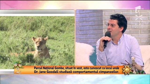 Răzvan Pascu, vacanță de vis &icirc;n Tanzania