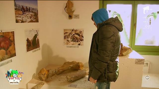 Liviu Vârciu și copiii din tabăra lui nea Mărin merg să vadă dinozaurii de la Dino Park din Râșnov