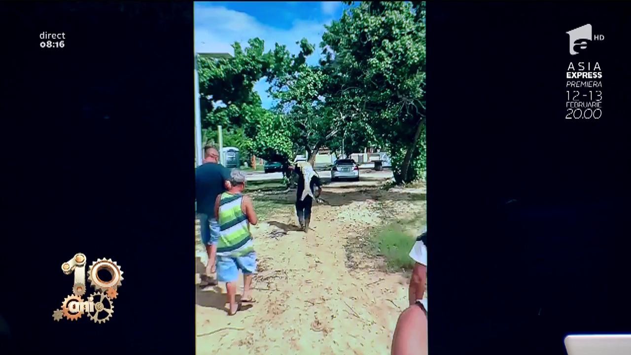 Smiley News! Cel mai bun pescar din lume. A prins cu undița ce alții nu prind nici cu năvodul!