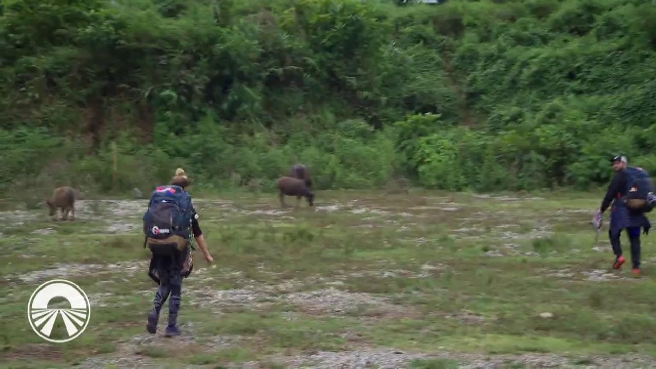 Concurenţii şi-au dus la bun sf&acirc;rşit sarcinile! Au făcut poze cu bivolul de apă!