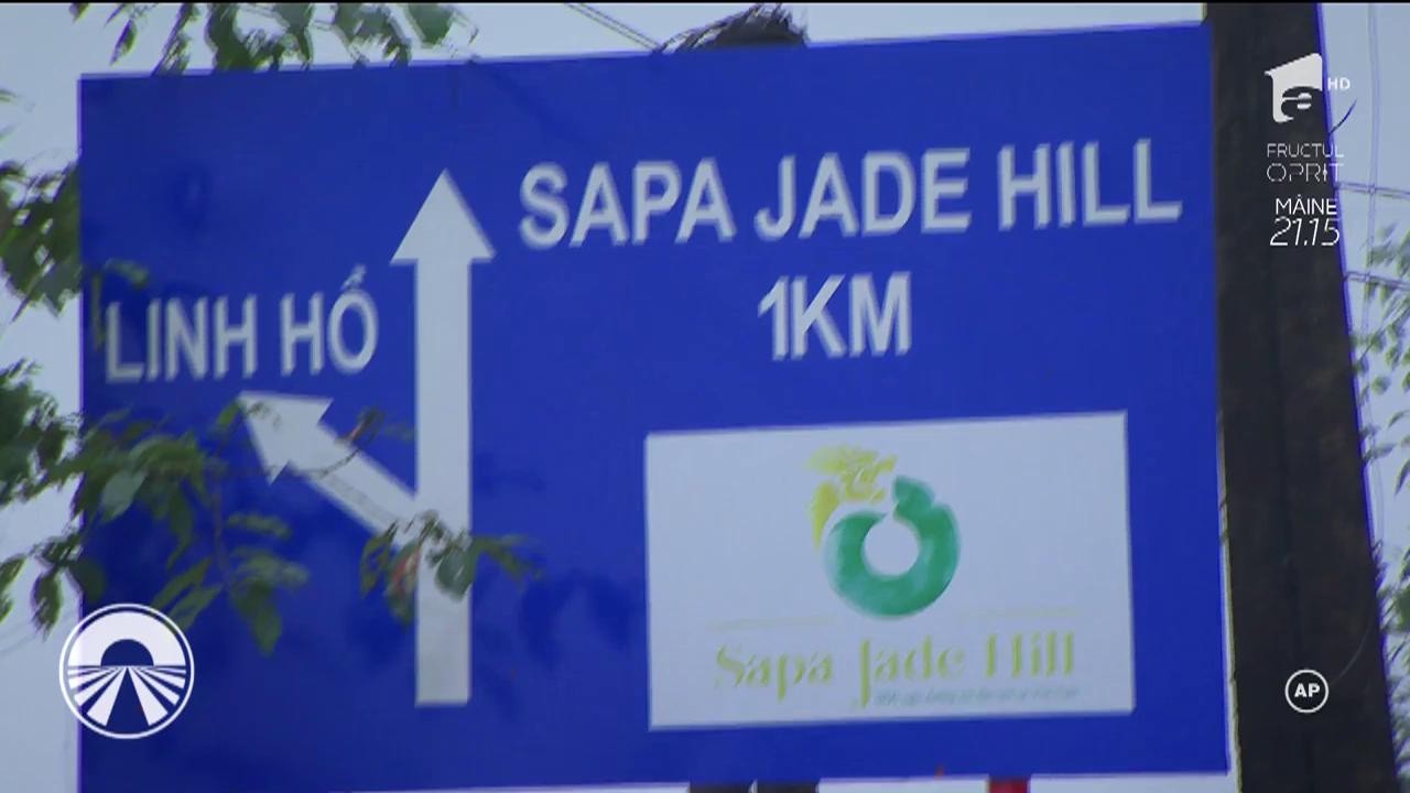 Vika şi Daniela Crudu au fost date jos din autocar!