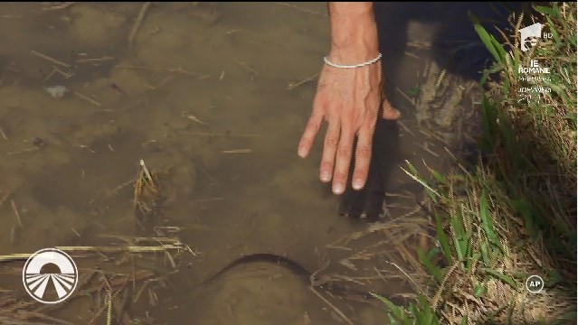 &rdquo;Ție frică!&rdquo; Concurenții, puși să prindă pești care curenteză!