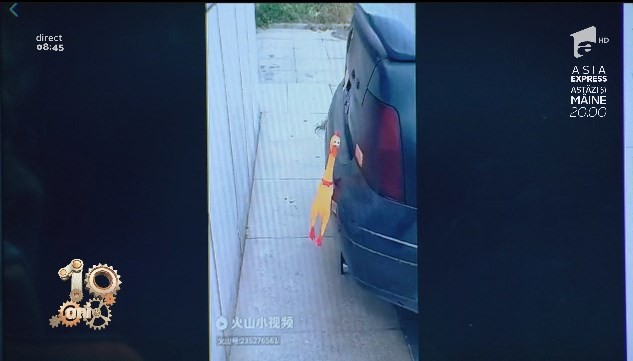 Smiley News. Vrei senzori de parcare pe mașina ta? Acum &icirc;ți poți pune și singur
